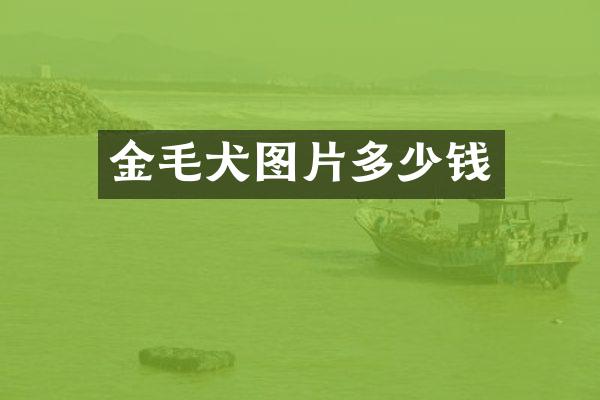 金毛犬图片多少钱