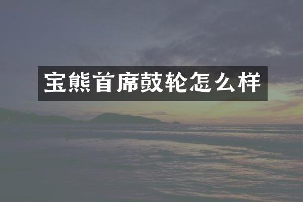 宝熊首席鼓轮怎么样