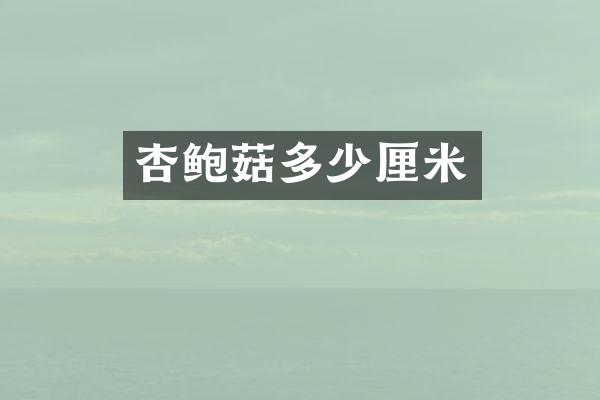 杏鲍菇多少厘米