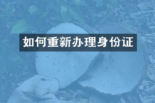 如何重新办理身份证