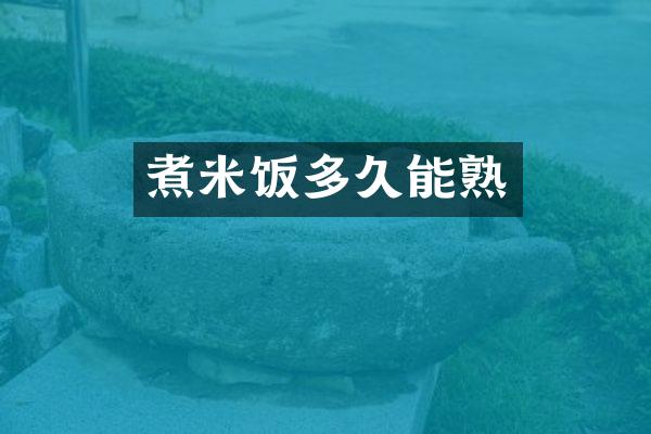 煮米饭多久能熟