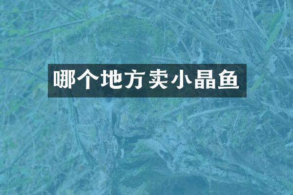哪个地方卖小晶鱼