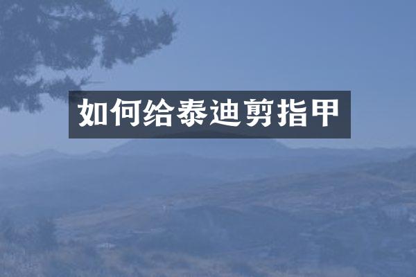 如何给泰迪剪指甲