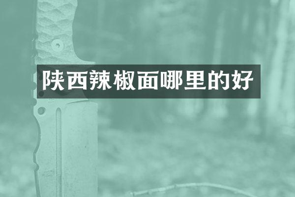 陕西辣椒面哪里的好