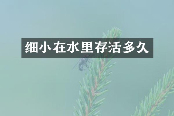 细小在水里存活多久