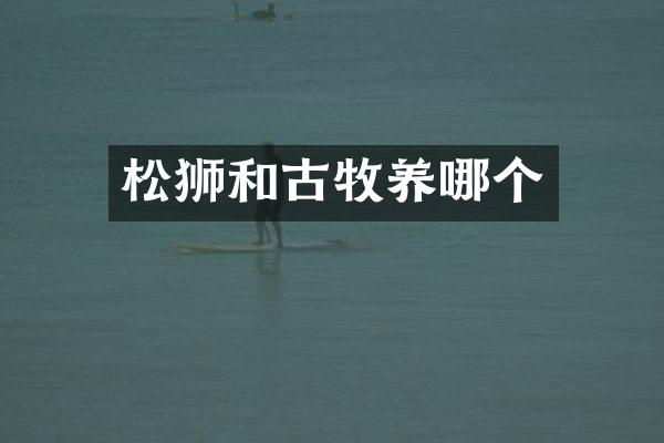 松狮和古牧养哪个