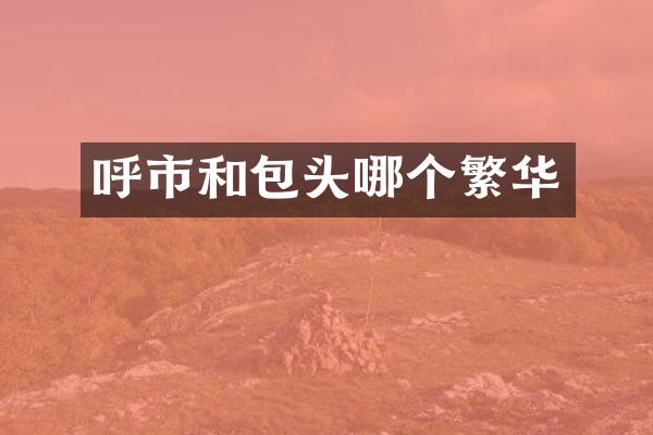 呼市和包头哪个繁华