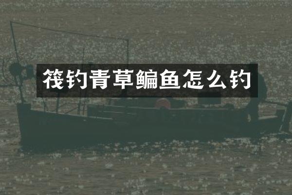 筏钓青草鳊鱼怎么钓