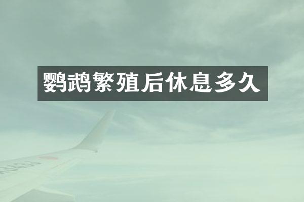 鹦鹉繁殖后休息多久