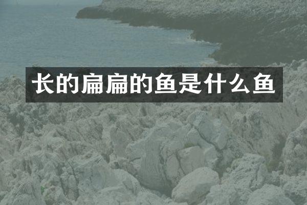长的扁扁的鱼是什么鱼