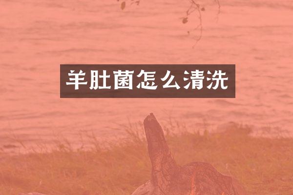 羊肚菌怎么清洗