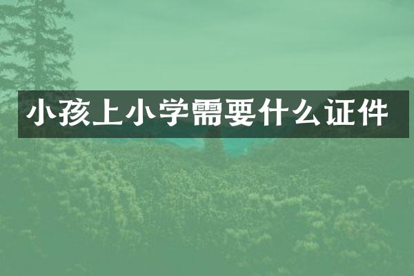 小孩上小学需要什么证件