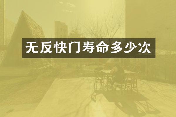 无反快门寿命多少次