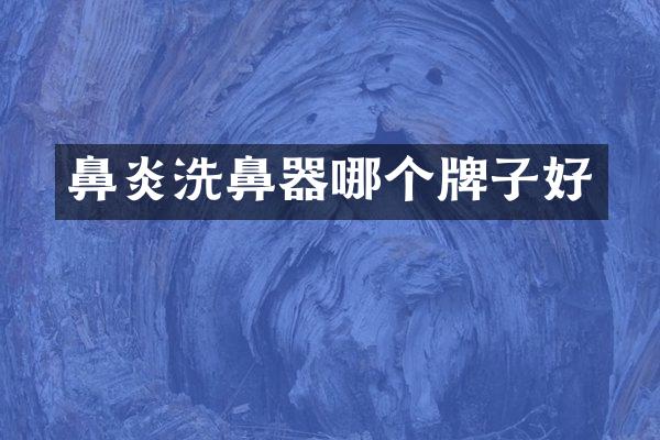 鼻炎洗鼻器哪个牌子好