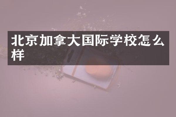 北京加拿大国际学校怎么样