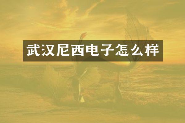 武汉尼西电子怎么样