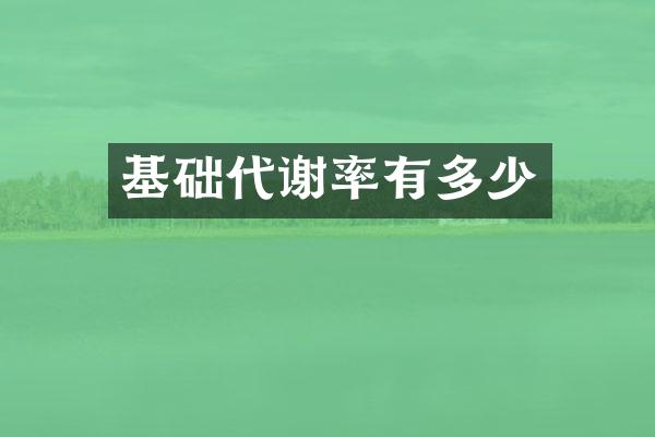 基础代谢率有多少