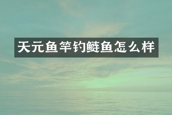 天元鱼竿钓鲢鱼怎么样