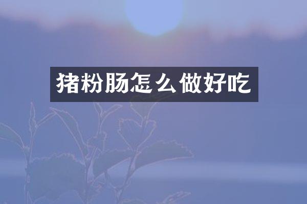 猪粉肠怎么做好吃