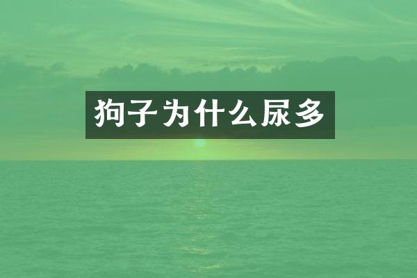 狗子为什么尿多