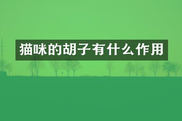 猫咪的胡子有什么作用