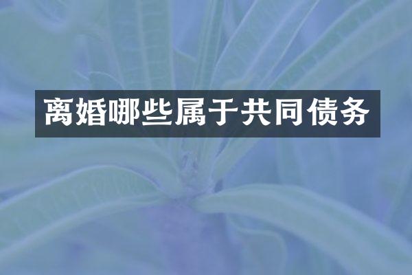 离婚哪些属于共同债务