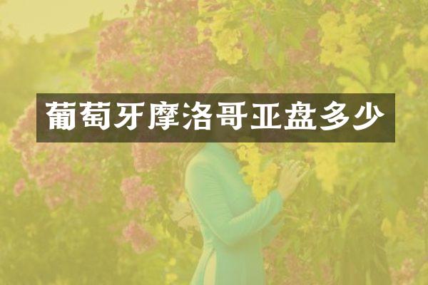 葡萄牙摩洛哥亚盘多少