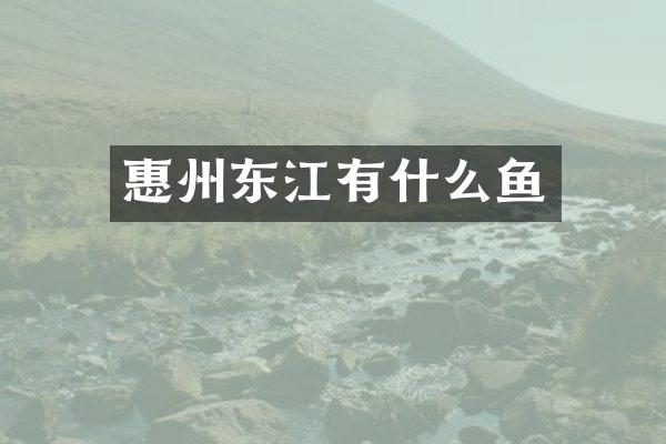 惠州东江有什么鱼