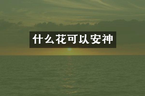 什么花可以安神