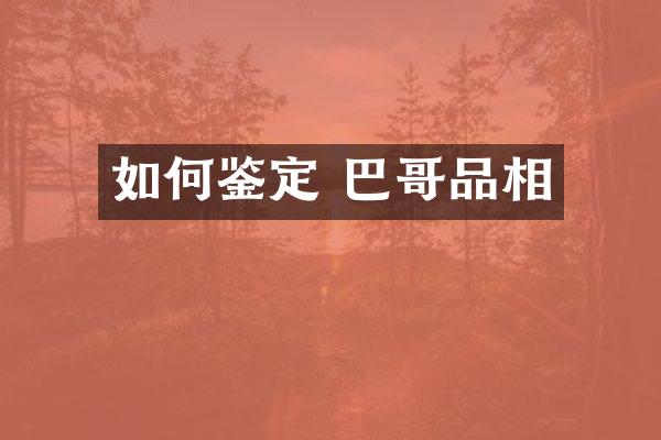 如何鉴定 巴哥品相