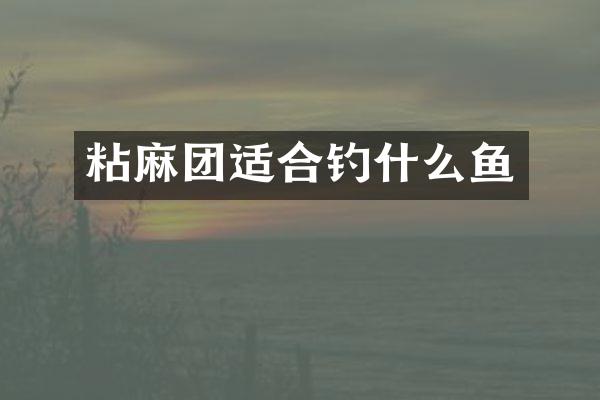 粘麻团适合钓什么鱼