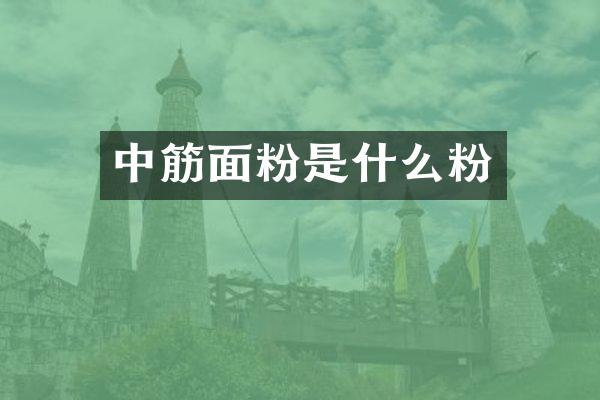 中筋面粉是什么粉