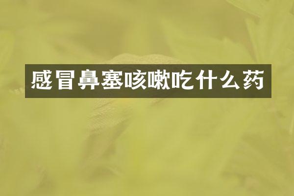 感冒鼻塞咳嗽吃什么药