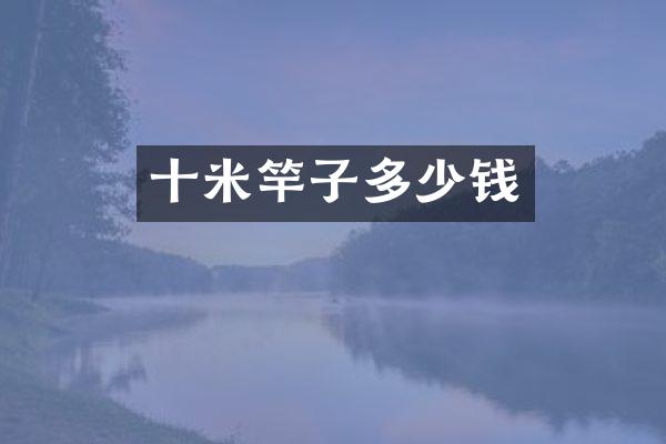 十米竿子多少钱