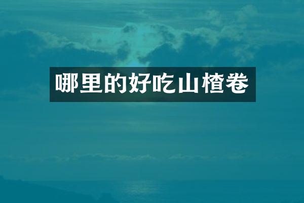 哪里的好吃山楂卷