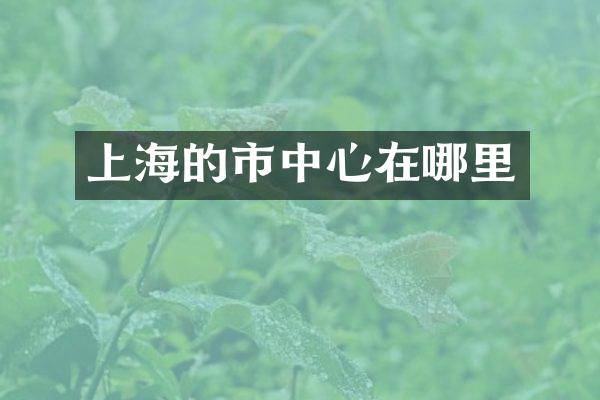 上海的市中心在哪里