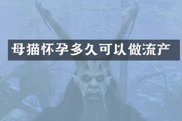 母猫怀孕多久可以做流产