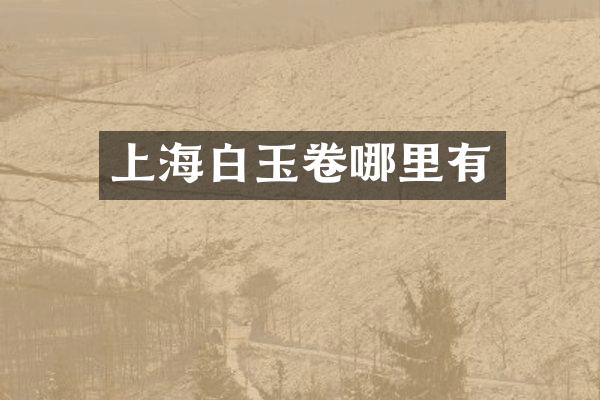 上海白玉卷哪里有