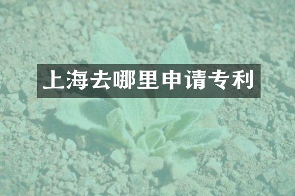 上海去哪里申请专利
