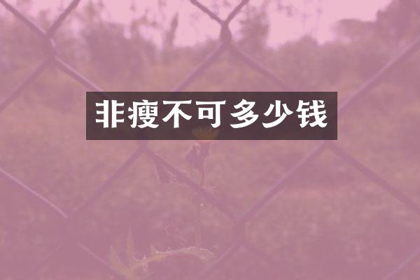 非瘦不可多少钱
