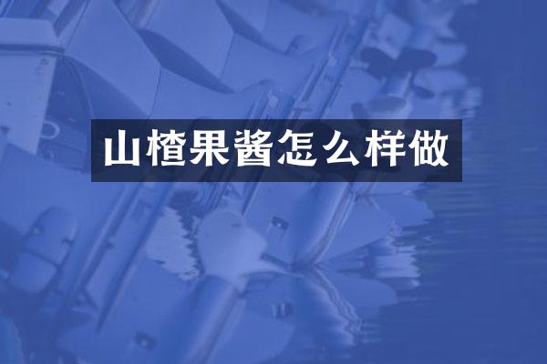 山楂果酱怎么样做