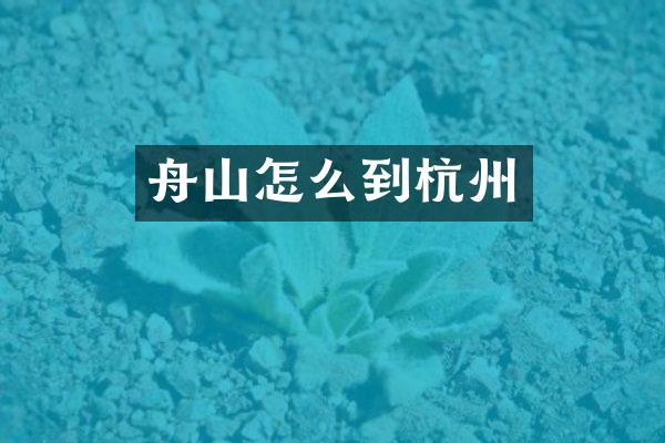 舟山怎么到杭州