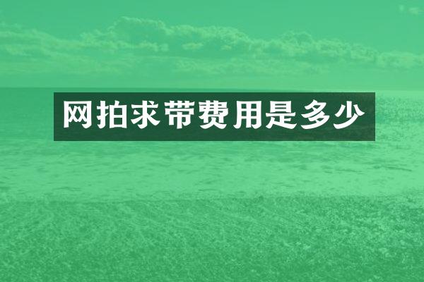 网拍求带费用是多少
