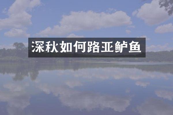 深秋如何路亚鲈鱼