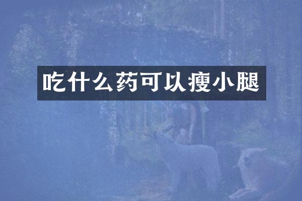 吃什么药可以瘦小腿