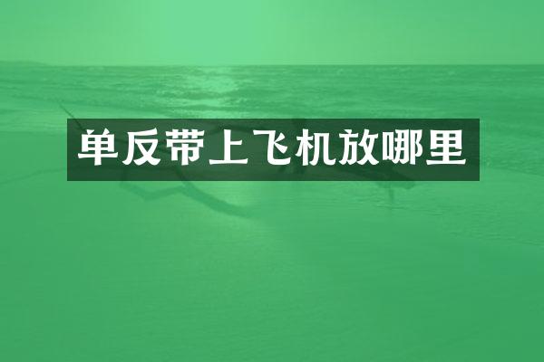 单反带上飞机放哪里