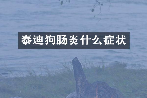 泰迪狗肠炎什么症状