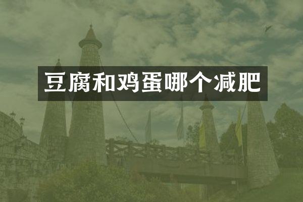 豆腐和鸡蛋哪个减肥