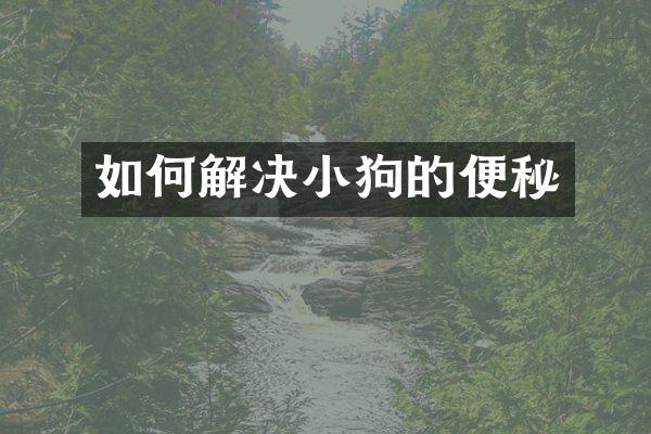 如何解决小狗的便秘