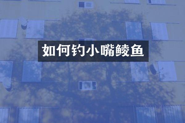 如何钓小嘴鲮鱼